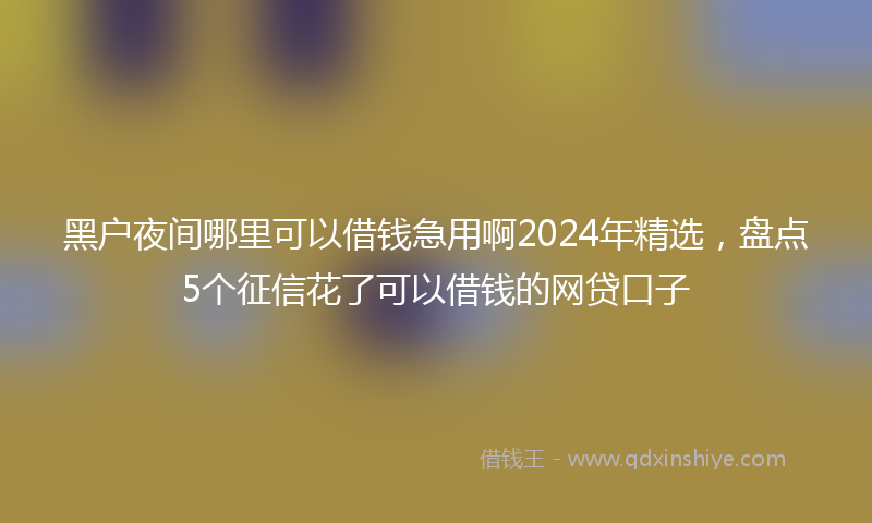 黑户夜间哪里可以借钱急用啊2024年精选，盘点5个征信花了可以借钱的网贷口子