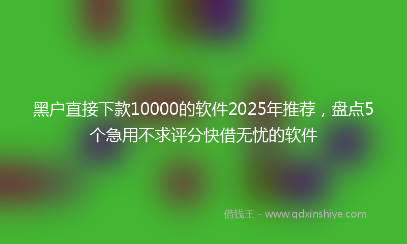 黑户直接下款10000的软件2025年推荐，盘点5个急用不求评分快借无忧的软件