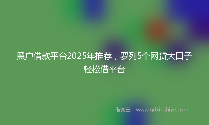 黑户借款平台2025年推荐，罗列5个网贷大口子轻松借平台