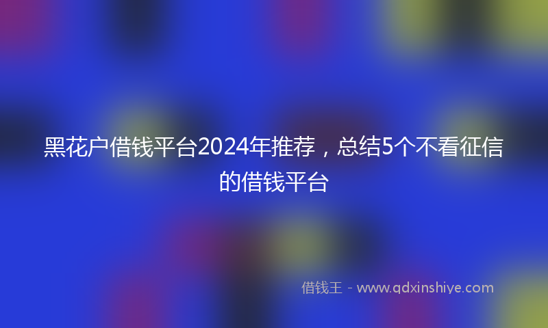 黑花户借钱平台2024年推荐，总结5个不看征信的借钱平台
