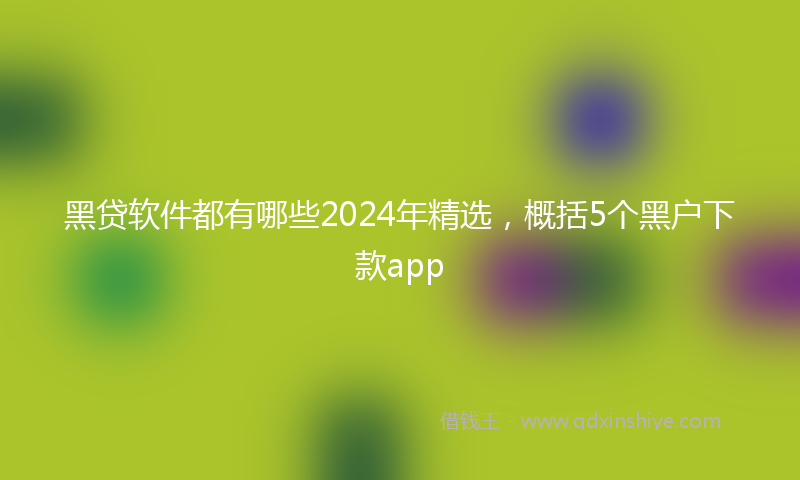 黑贷软件都有哪些2024年精选，概括5个黑户下款app