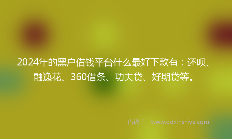 2024年的黑户借钱平台什么最好下款有：还呗、融逸花、360借条、功夫贷、好期贷等。