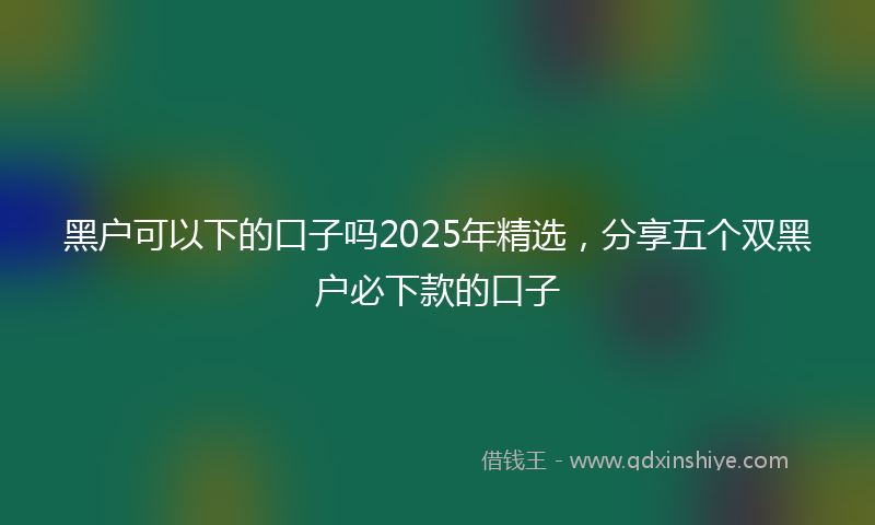 黑户可以下的口子吗2025年精选，分享五个双黑户必下款的口子