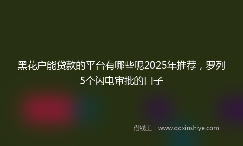 黑花户能贷款的平台有哪些呢2025年推荐，罗列5个闪电审批的口子