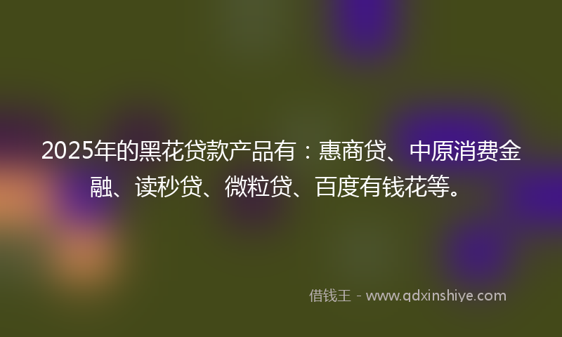 2025年的黑花贷款产品有：惠商贷、中原消费金融、读秒贷、微粒贷、百度有钱花等。