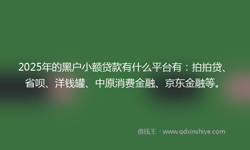 2025年的黑户小额贷款有什么平台有：拍拍贷、省呗、洋钱罐、中原消费金融、京东金融等。