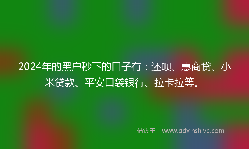 2024年的黑户秒下的口子有：还呗、惠商贷、小米贷款、平安口袋银行、拉卡拉等。