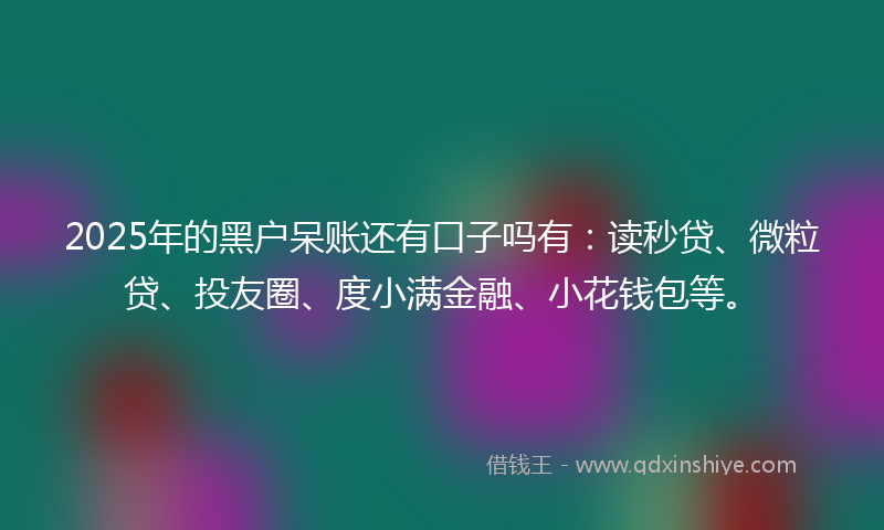 2025年的黑户呆账还有口子吗有：读秒贷、微粒贷、投友圈、度小满金融、小花钱包等。