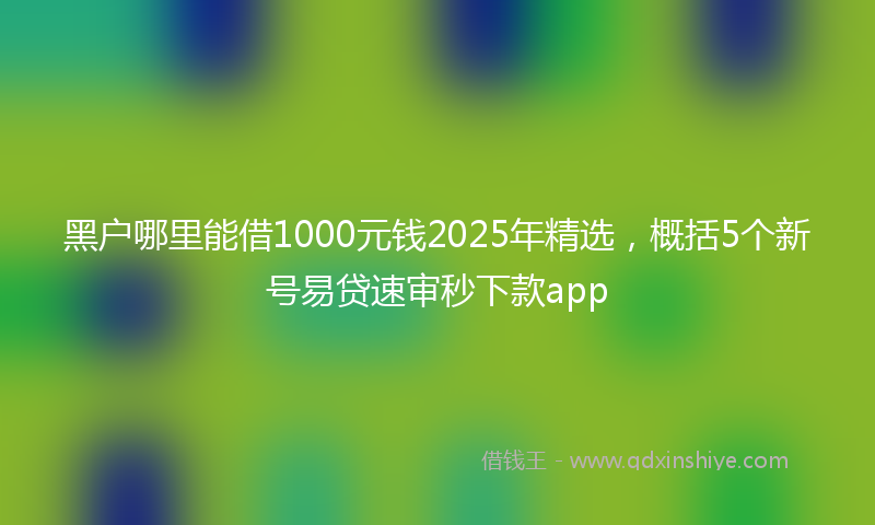 黑户哪里能借1000元钱2025年精选，概括5个新号易贷速审秒下款app