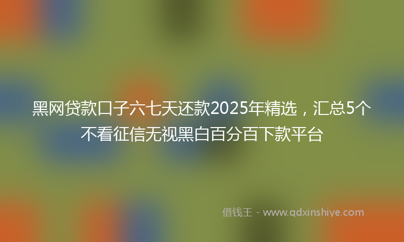 黑网贷款口子六七天还款2025年精选，汇总5个不看征信无视黑白百分百下款平台