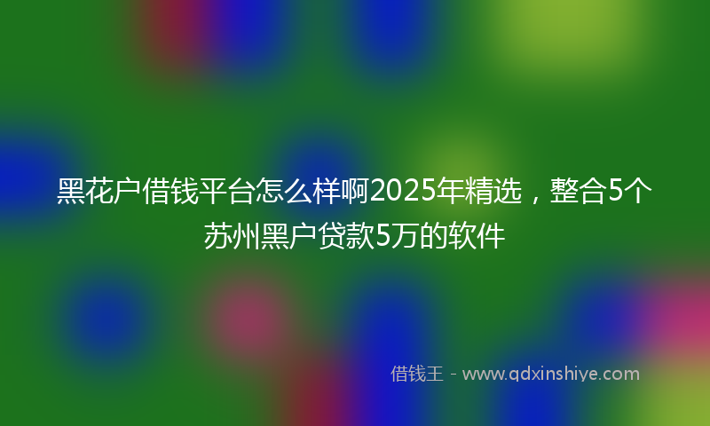 黑花户借钱平台怎么样啊2025年精选，整合5个苏州黑户贷款5万的软件