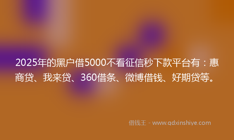 2025年的黑户借5000不看征信秒下款平台有：惠商贷、我来贷、360借条、微博借钱、好期贷等。