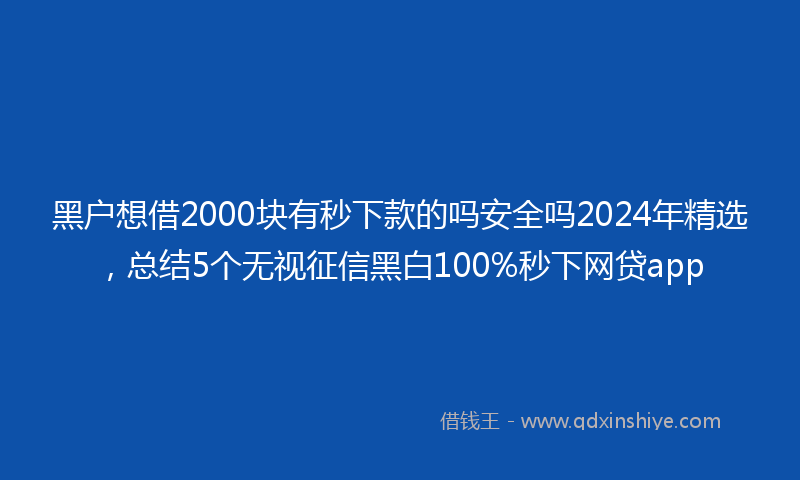 黑户想借2000块有秒下款的吗安全吗2024年精选，总结5个无视征信黑白100%秒下网贷app