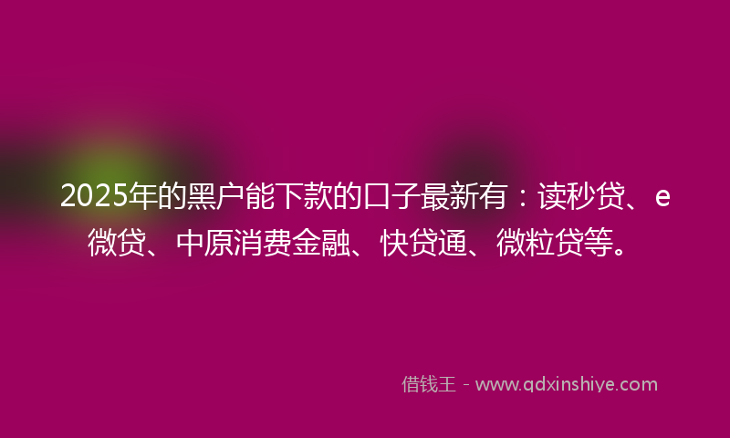 2025年的黑户能下款的口子最新有：读秒贷、e微贷、中原消费金融、快贷通、微粒贷等。
