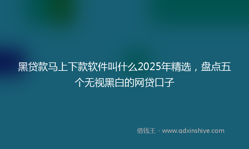 黑贷款马上下款软件叫什么2025年精选，盘点五个无视黑白的网贷口子