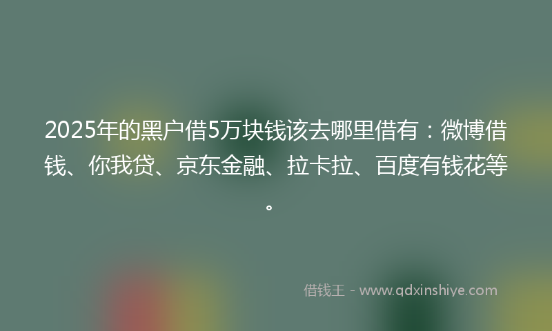 2025年的黑户借5万块钱该去哪里借有：微博借钱、你我贷、京东金融、拉卡拉、百度有钱花等。