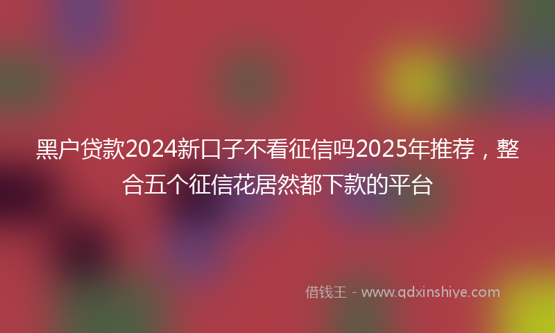 黑户贷款2024新口子不看征信吗2025年推荐，整合五个征信花居然都下款的平台
