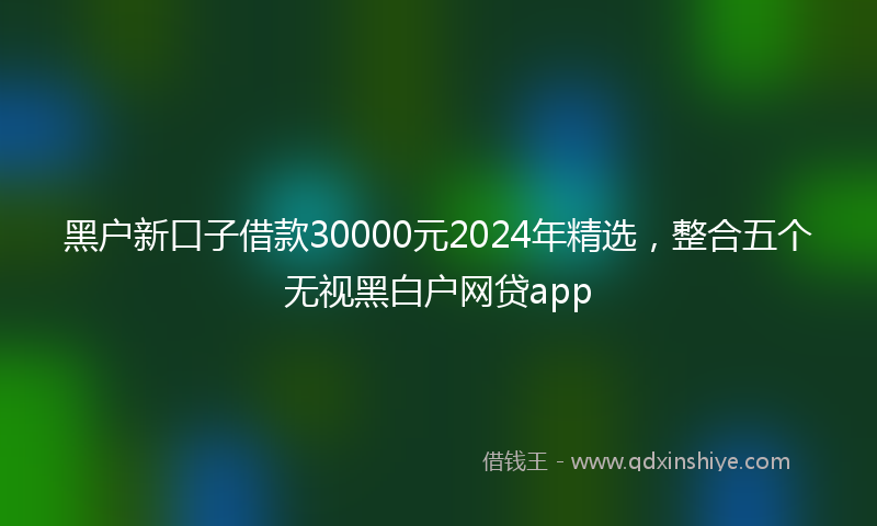 黑户新口子借款30000元2024年精选，整合五个无视黑白户网贷app