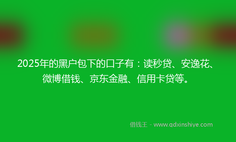 2025年的黑户包下的口子有：读秒贷、安逸花、微博借钱、京东金融、信用卡贷等。