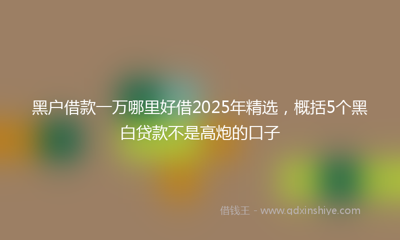 黑户借款一万哪里好借2025年精选，概括5个黑白贷款不是高炮的口子