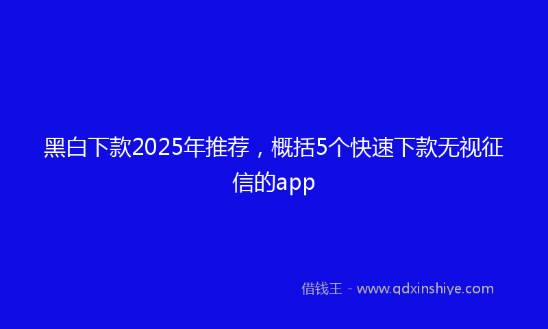 黑白下款2025年推荐，概括5个快速下款无视征信的app