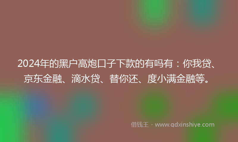 2024年的黑户高炮口子下款的有吗有：你我贷、京东金融、滴水贷、替你还、度小满金融等。