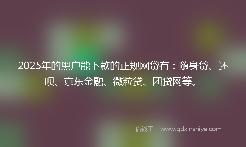 2025年的黑户能下款的正规网贷有：随身贷、还呗、京东金融、微粒贷、团贷网等。