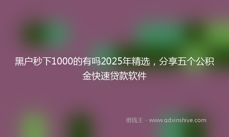 黑户秒下1000的有吗2025年精选，分享五个公积金快速贷款软件