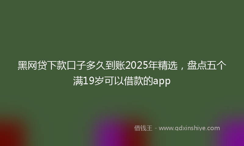 黑网贷下款口子多久到账2025年精选，盘点五个满19岁可以借款的app