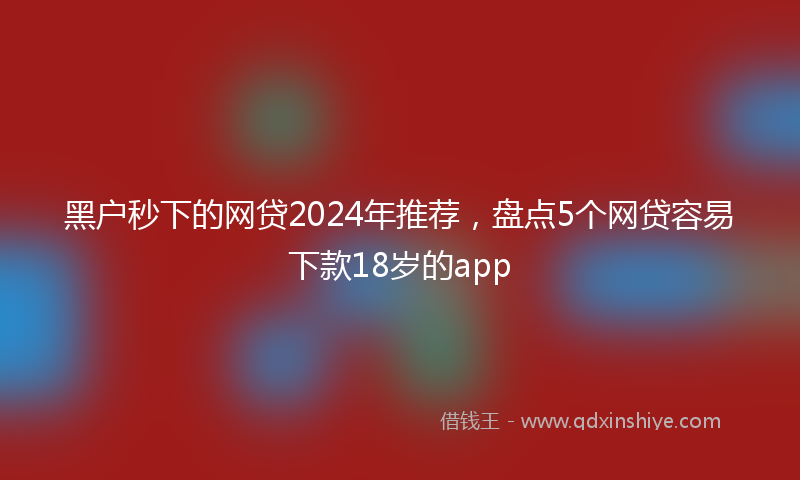黑户秒下的网贷2024年推荐，盘点5个网贷容易下款18岁的app