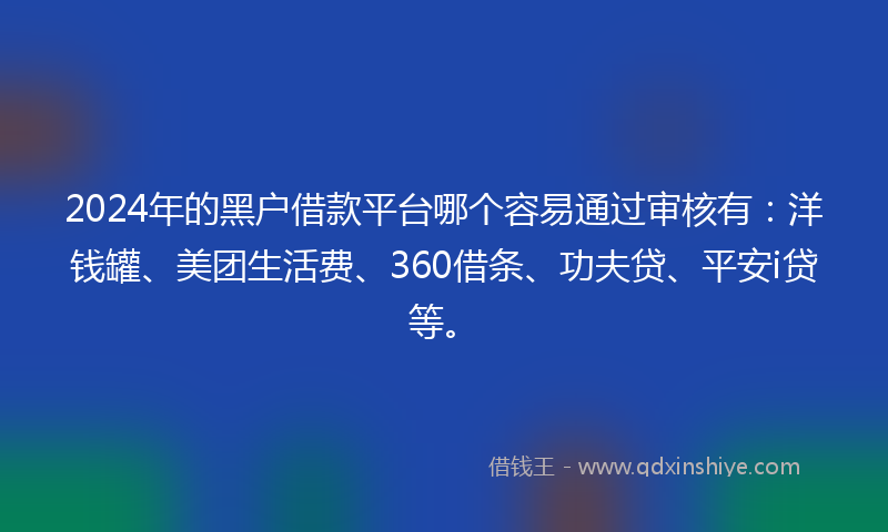 2024年的黑户借款平台哪个容易通过审核有：洋钱罐、美团生活费、360借条、功夫贷、平安i贷等。