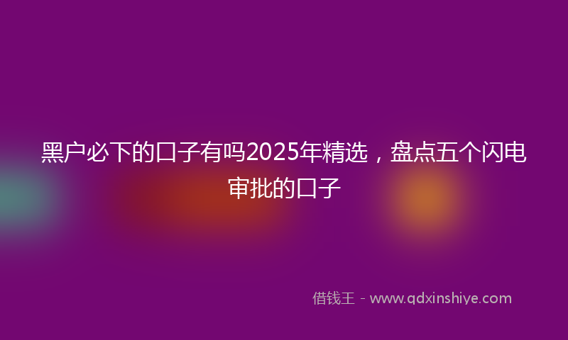 黑户必下的口子有吗2025年精选，盘点五个闪电审批的口子