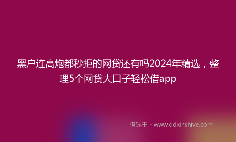 黑户连高炮都秒拒的网贷还有吗2024年精选，整理5个网贷大口子轻松借app