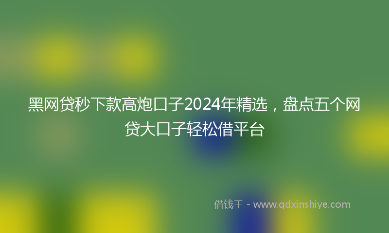 黑网贷秒下款高炮口子2024年精选，盘点五个网贷大口子轻松借平台