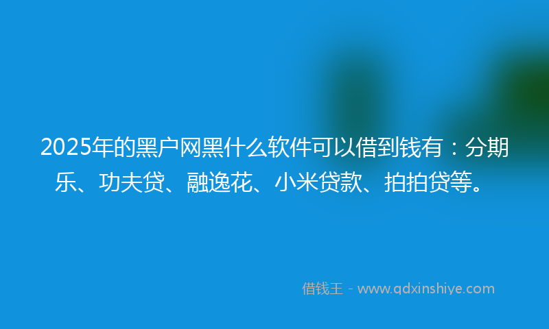 2025年的黑户网黑什么软件可以借到钱有：分期乐、功夫贷、融逸花、小米贷款、拍拍贷等。