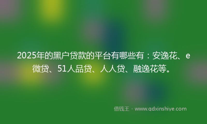 2025年的黑户贷款的平台有哪些有：安逸花、e微贷、51人品贷、人人贷、融逸花等。