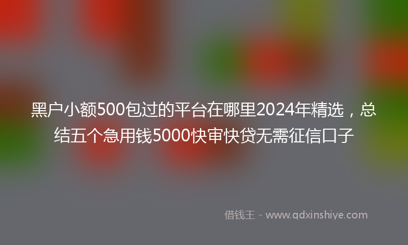 黑户小额500包过的平台在哪里2024年精选，总结五个急用钱5000快审快贷无需征信口子