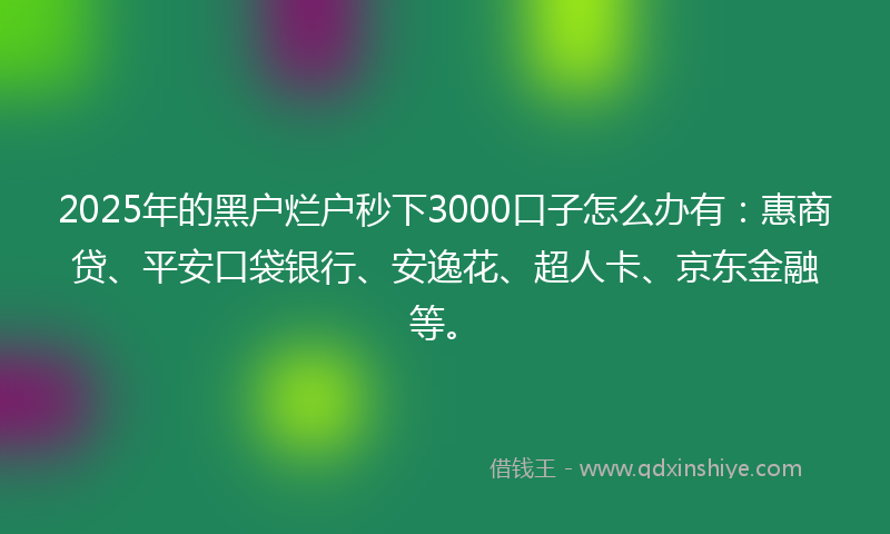 2025年的黑户烂户秒下3000口子怎么办有：惠商贷、平安口袋银行、安逸花、超人卡、京东金融等。