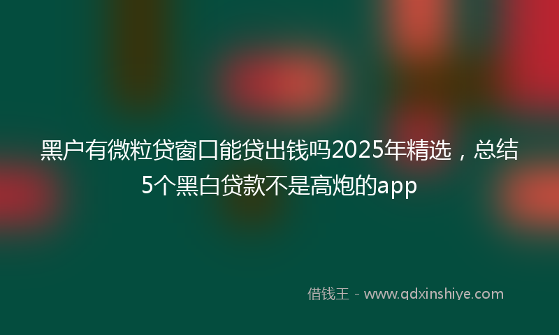 黑户有微粒贷窗口能贷出钱吗2025年精选，总结5个黑白贷款不是高炮的app