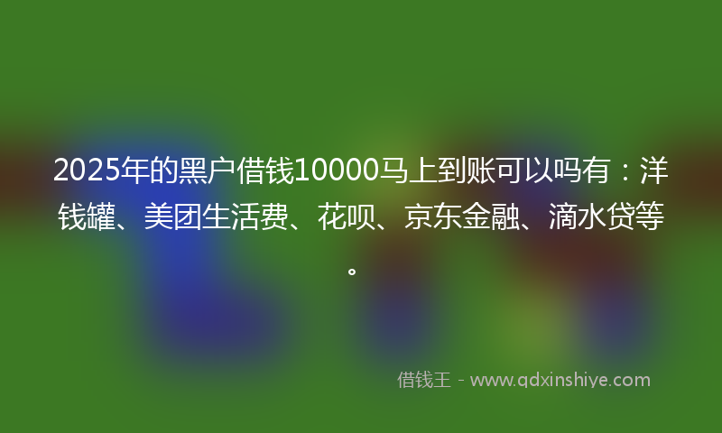 2025年的黑户借钱10000马上到账可以吗有：洋钱罐、美团生活费、花呗、京东金融、滴水贷等。