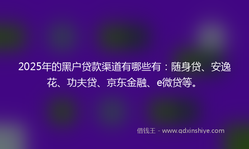 2025年的黑户贷款渠道有哪些有：随身贷、安逸花、功夫贷、京东金融、e微贷等。