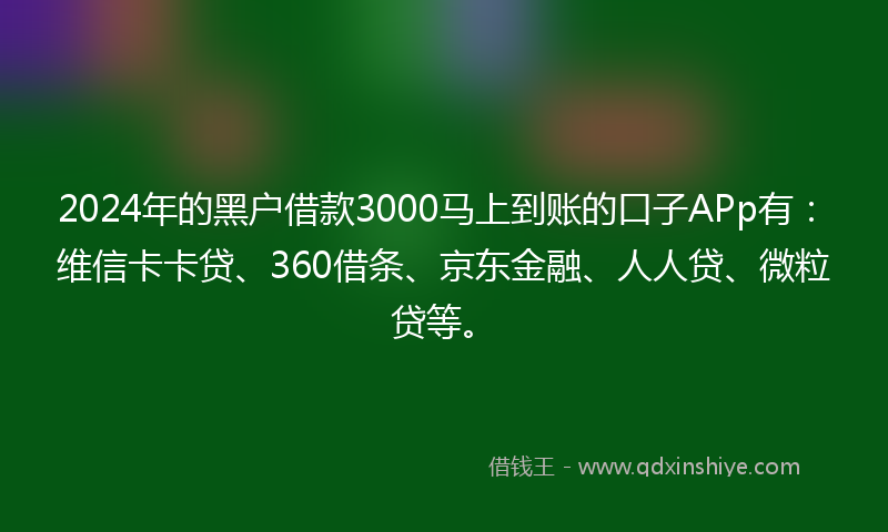 2024年的黑户借款3000马上到账的口子APp有：维信卡卡贷、360借条、京东金融、人人贷、微粒贷等。