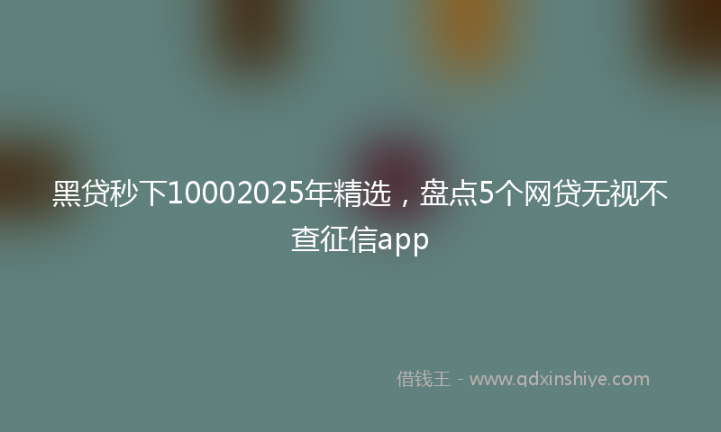 黑贷秒下10002025年精选，盘点5个网贷无视不查征信app