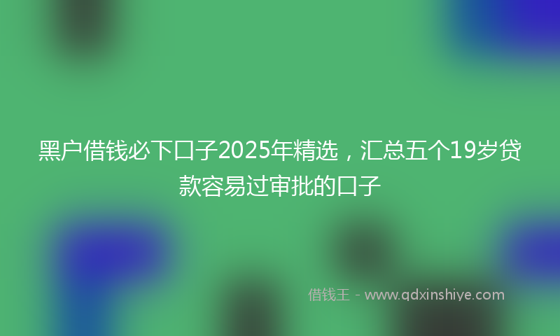 黑户借钱必下口子2025年精选，汇总五个19岁贷款容易过审批的口子