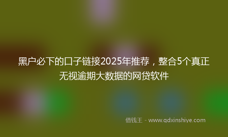 黑户必下的口子链接2025年推荐，整合5个真正无视逾期大数据的网贷软件