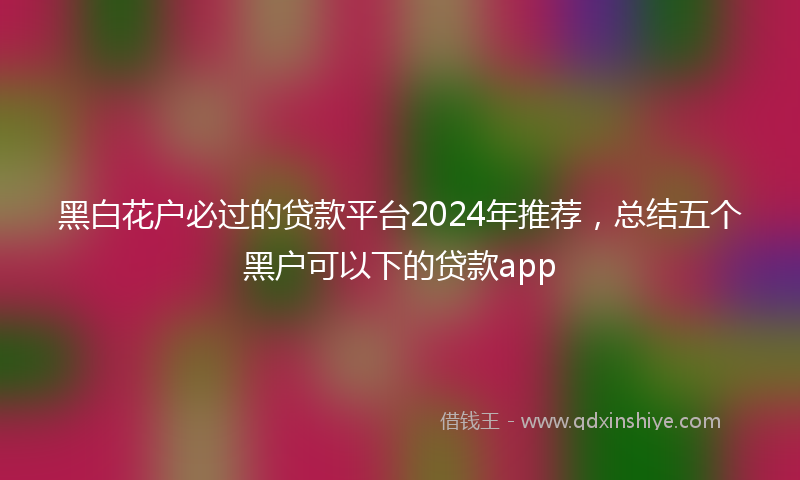 黑白花户必过的贷款平台2024年推荐，总结五个黑户可以下的贷款app