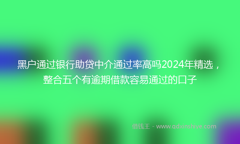 黑户通过银行助贷中介通过率高吗2024年精选，整合五个有逾期借款容易通过的口子
