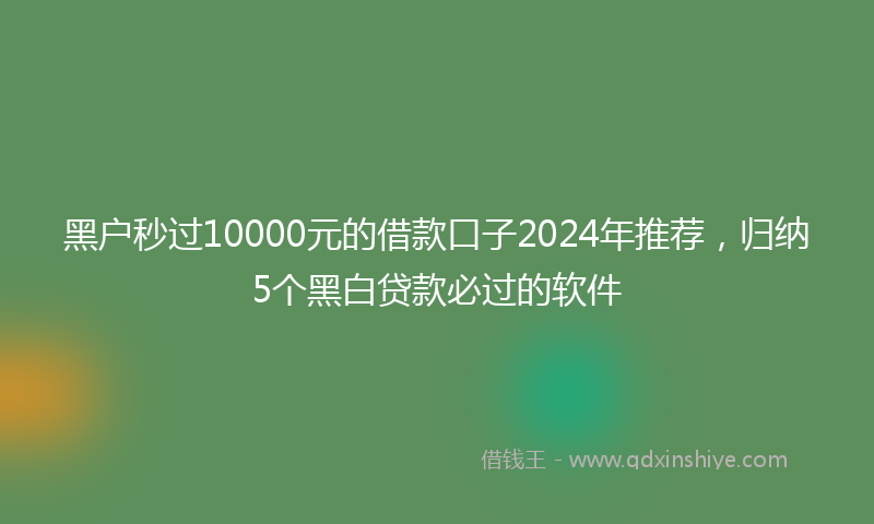 黑户秒过10000元的借款口子2024年推荐，归纳5个黑白贷款必过的软件