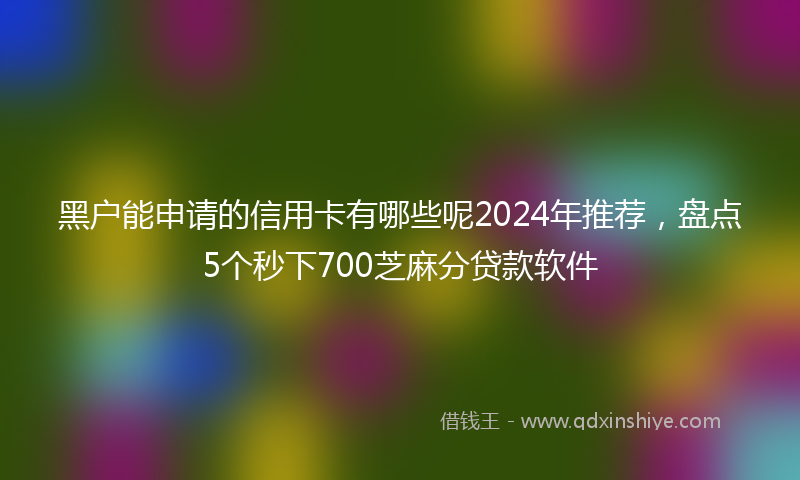 黑户能申请的信用卡有哪些呢2024年推荐，盘点5个秒下700芝麻分贷款软件