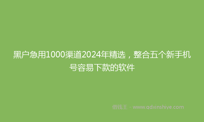 黑户急用1000渠道2024年精选，整合五个新手机号容易下款的软件